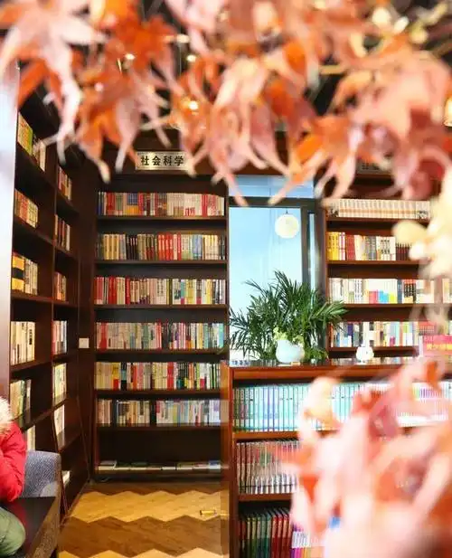 报道丨寒冷的冬季,温馨的书屋—记最美书店评选检查指导!