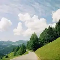 清新自然的风景头像