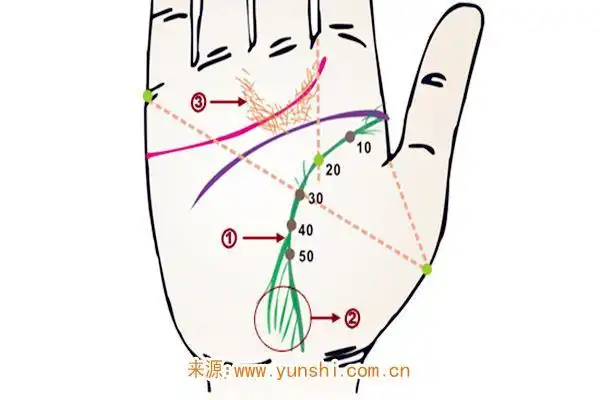 手相2020-06-21 14:10:39最差的手相反抗纹又称为叛逆线,为感情线下方