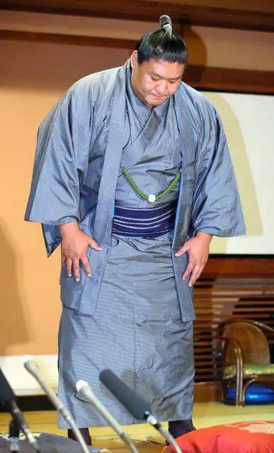 相扑协会制定基准横纲如使用暴力则需引退