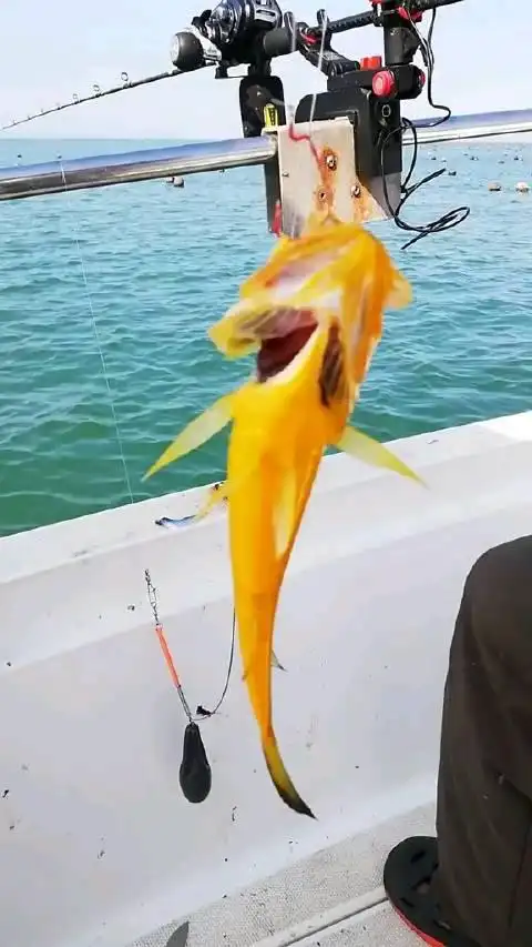 听说过"喷火鱼"吗?那你知道它是怎么"喷火"的吗?