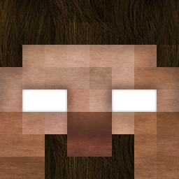 求我的世界him头像