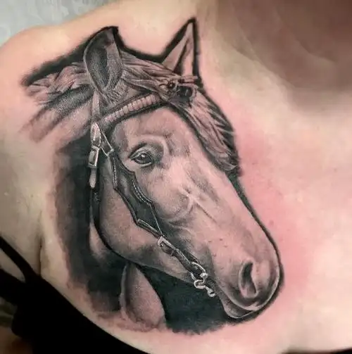 胸口黑灰写实骏马纹身图案 - 深圳纹彩刺青