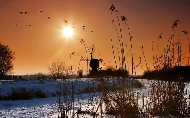 不要告诉别人(夕阳西下的唯美句子)一句话赞美夕阳 第3张
