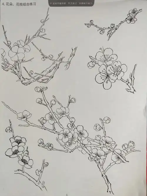 控笔day53梅花白描过程临摹