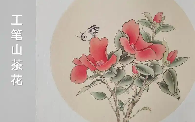 meticulouspaintingcamellia工笔画山茶花