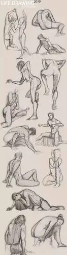 速写教学,人体结构干货 (收藏)_素描大师_零二七艺考