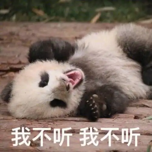 我不听我不听国宝大熊猫滚滚表情包熊猫萌萌哒表情
