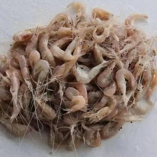 小白虾鲜活冷冻营养无冰淡水虾海水虾小对虾小河虾-雨林食味 5-9cm