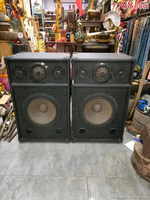 珠江牌大礼堂电影院老式落地音响一对