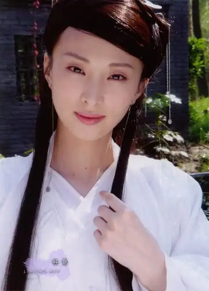 简介 大宋年间,辽朝公主傲雪(范冰冰饰)率使团进京求和,不料遭人暗算