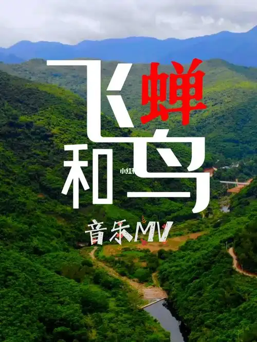 飞鸟和蝉竖屏版mv