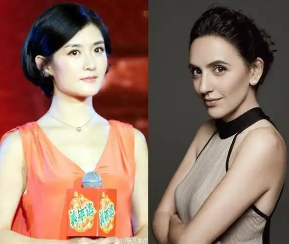 刘烨的妻子安娜是法国国籍的犹太人,长相精致优雅,这一点上,谢娜还真