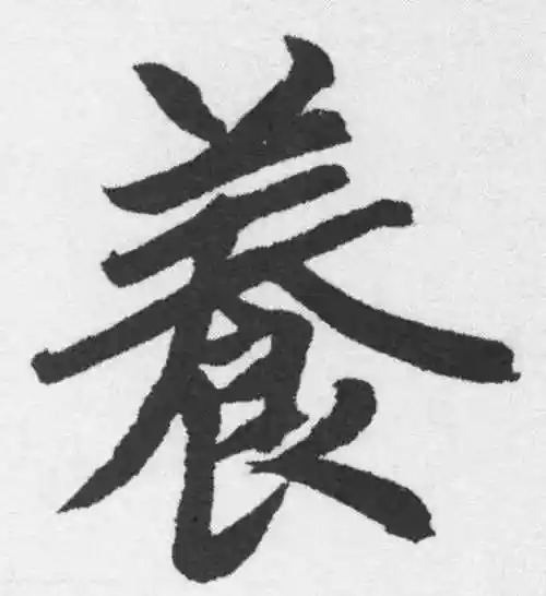 赵孟頫楷书"养"字的书法图片