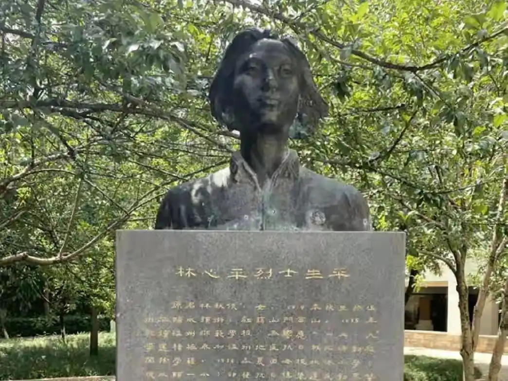 抗日女杰林心平,英勇不屈,成为日军的梦魇,被残忍扔进硫酸池