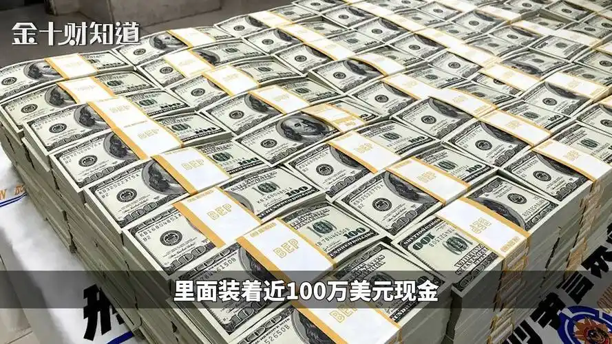 美国一家人开车兜风幸运捡到100万美金他们会怎么做