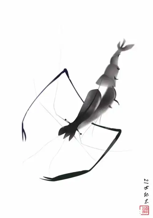 虾|平面|图案|九月喵_原创作品-站酷zcool