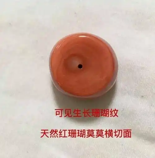 揪出珊瑚中的"李鬼",最详细的珊瑚真假对比图