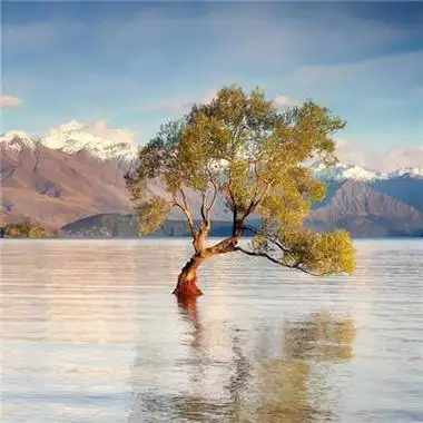 2021最美风景头像高清好看的2021最美微信风景图片