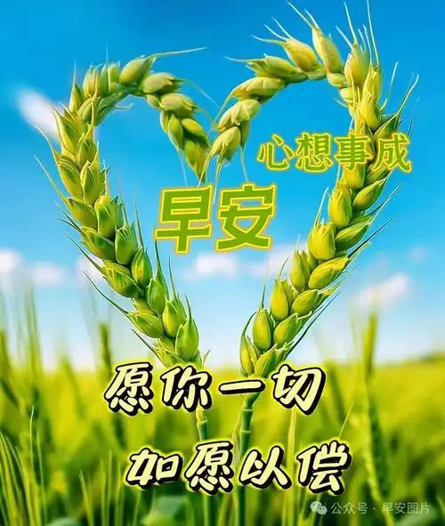 2024年5月21日早安图片,漂亮星期天早安祝福图片,早安祝福语精选