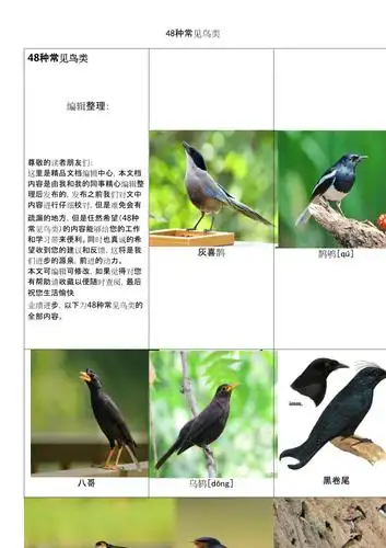 48种常见鸟类
