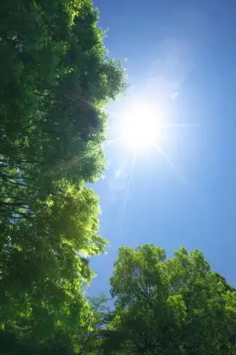 天,享受,休闲,景色,放松,生长,晴朗,成长,自然风光,万里无云,晴空