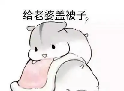 给老婆盖被子 - 爱老婆专用表情包_老婆_撩妹撩汉表情