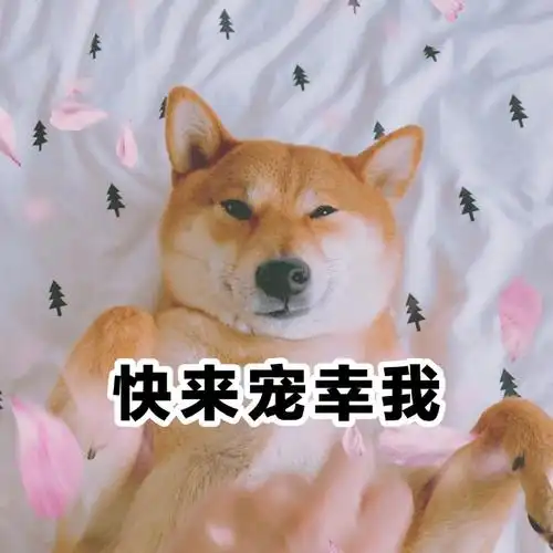 萌宠汪星人快来宠幸我张开怀抱呆萌可爱gif动图_动态图_表情包下载