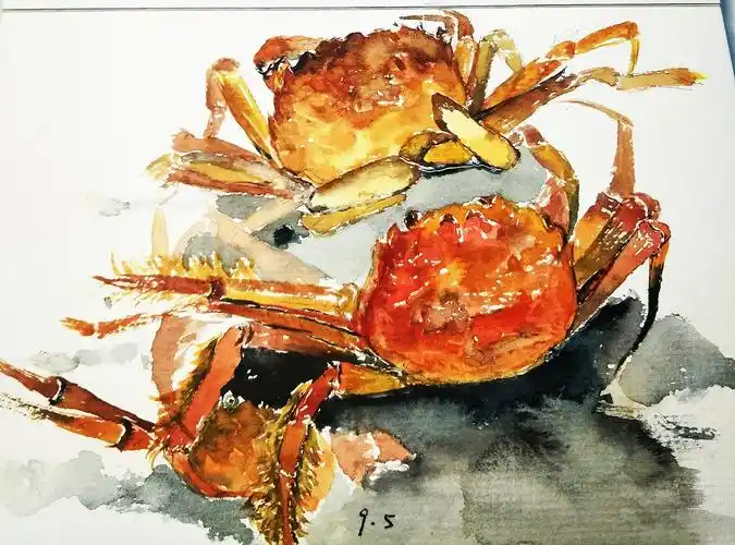 蟹 2年前 246 4 2 武汉  |  插画师 原创  -  纯艺术  -  水彩 不限制