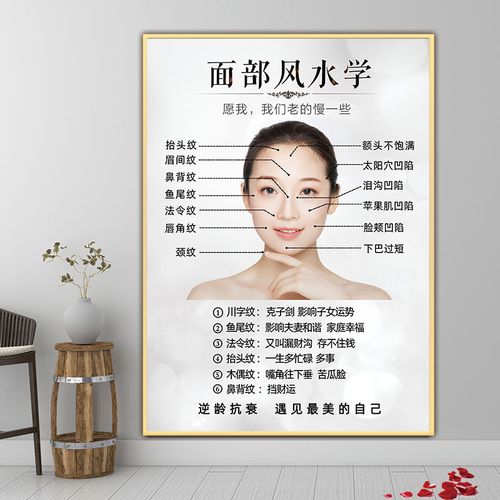 面部风水学黄金比例海报美容院医美微整面部皱纹祛皱面诊图广告画