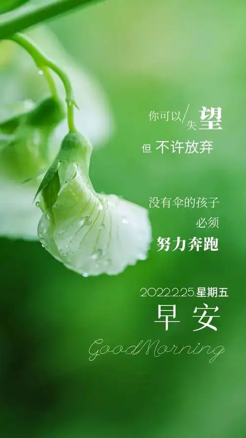 02.25」早安心语,正月二十五正能量人生感悟语录唯美图片