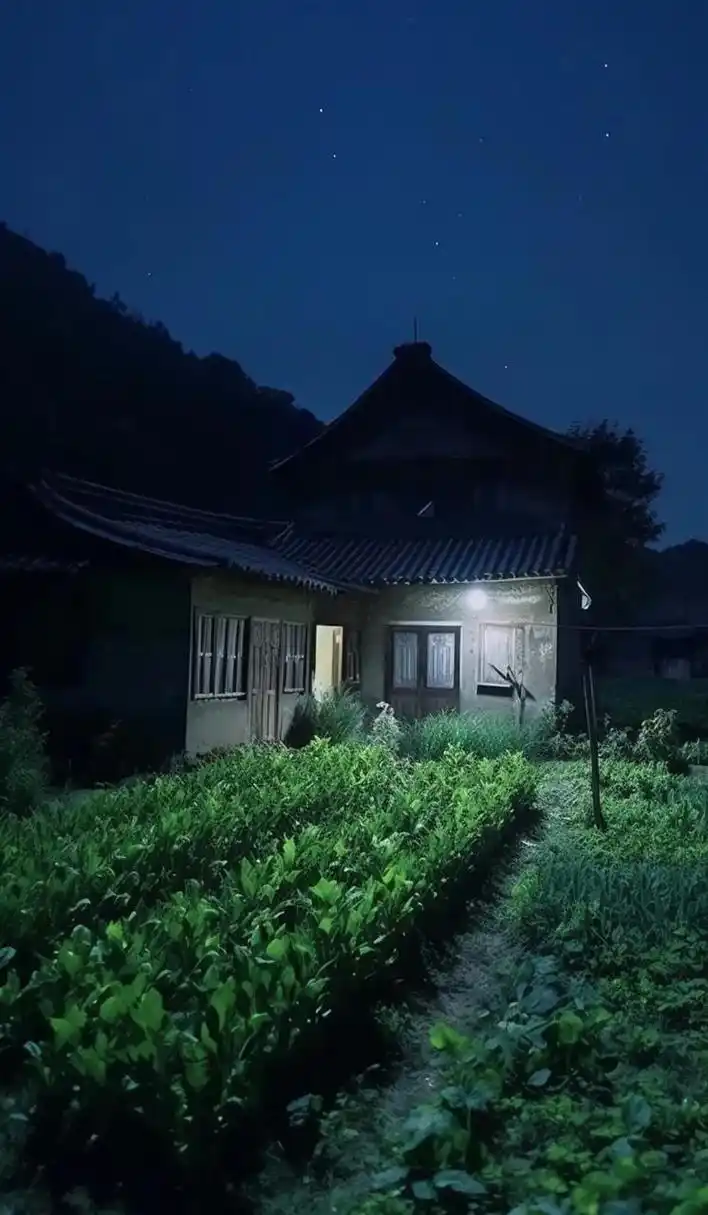 乡村夜景