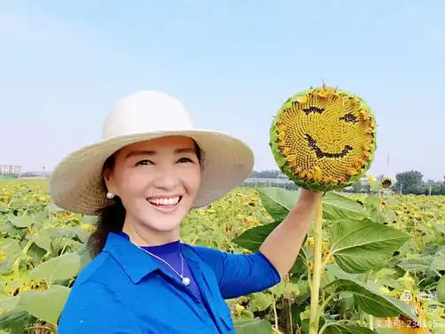 像向日葵一样保持微笑吧!