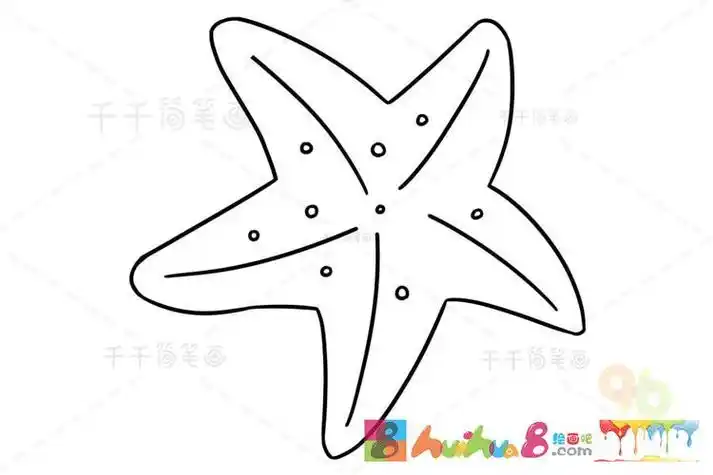 简笔画花彩色海星