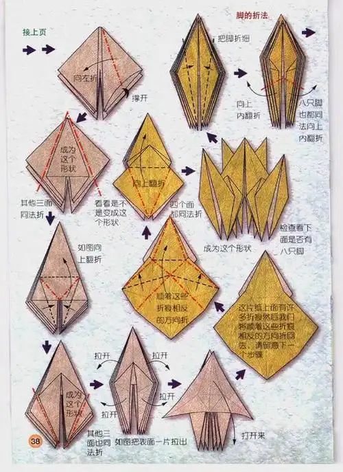 折纸op 手工折纸大全-蒲城教育文学网