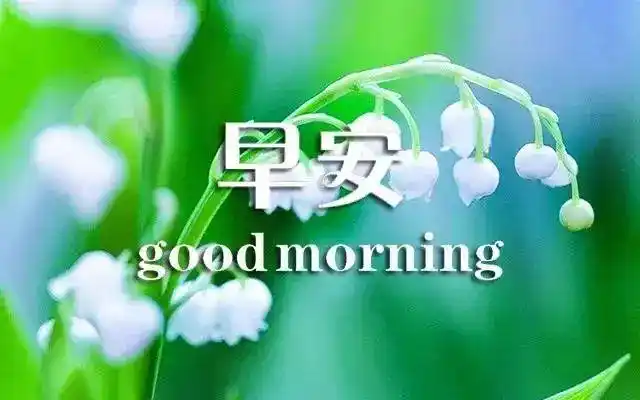 最新漂亮早安图片带字唯美新的一天发朋友圈早安心情说说句子