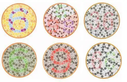 为什么女性能分辨很多口红色号,而男性只知道是红色?