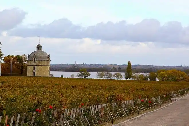 法国波尔多一级酒庄