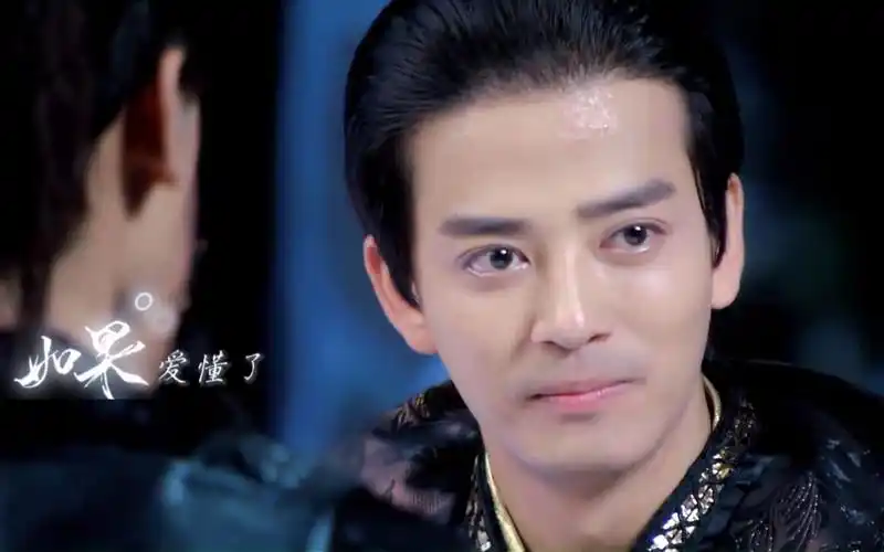 【(陈晓东)宇文邕x杨雪舞】如果爱忘了丨朕给你的承诺一辈子作数