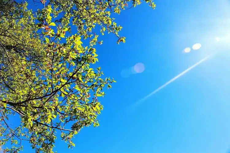 夏日的午后,阳光明媚.天气真好!