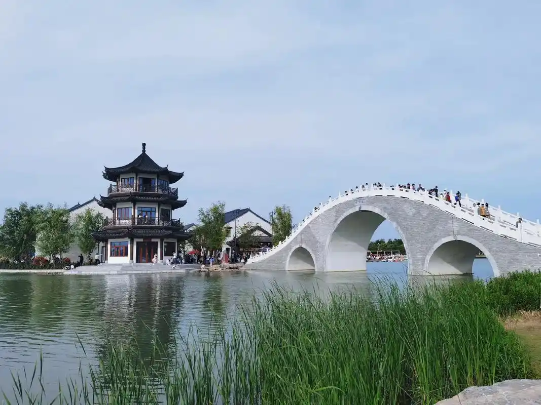 南阳世界月季大观园随拍#感受大自然的气息和美景 - 抖音