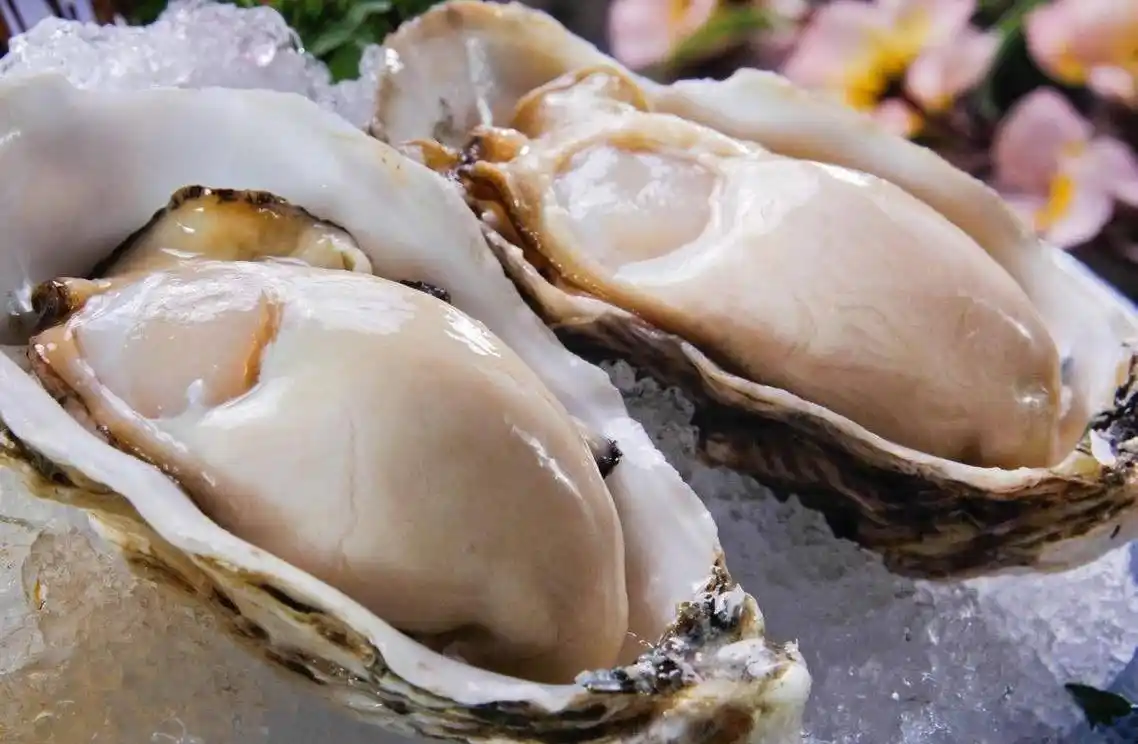 湛江生蚝批发价格  柳州生蚝批发商