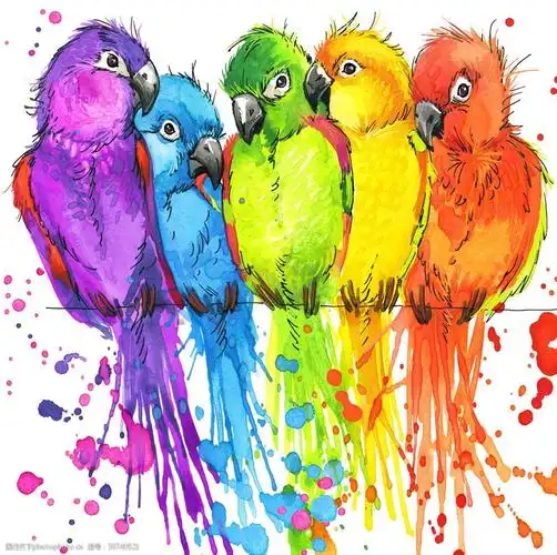 唯美彩绘五只可爱小鹦鹉斑驳溅射