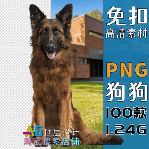 o1a3宠物狗狗德牧拉布拉多吉娃娃高清png免抠透明图片设计素材