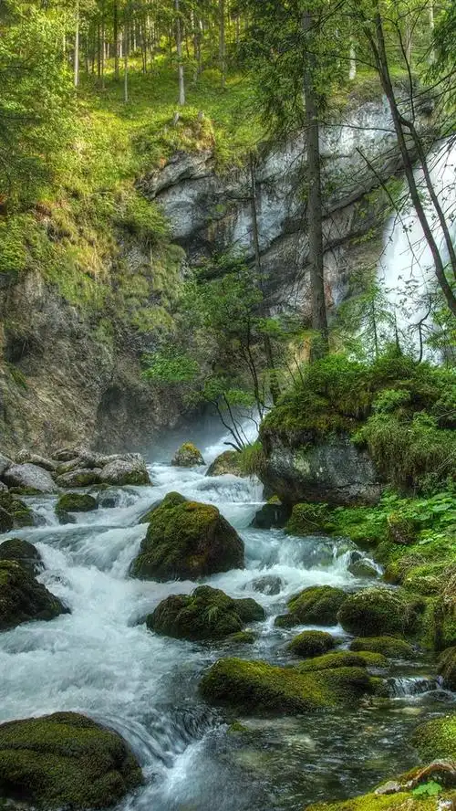 壁纸 瀑布,石头,树木,苔藓 3840x2160 uhd 4k 高清壁纸, 图片, 照片