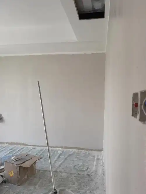 是我家光线太好了吗 感觉这个浅滩银珠 还没有不加颜色的白色好看