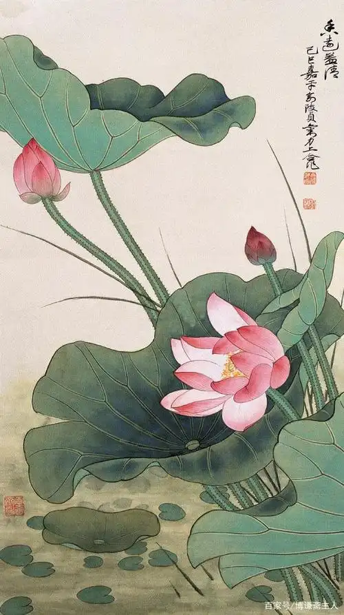 国画荷花(国画荷花作品取名)