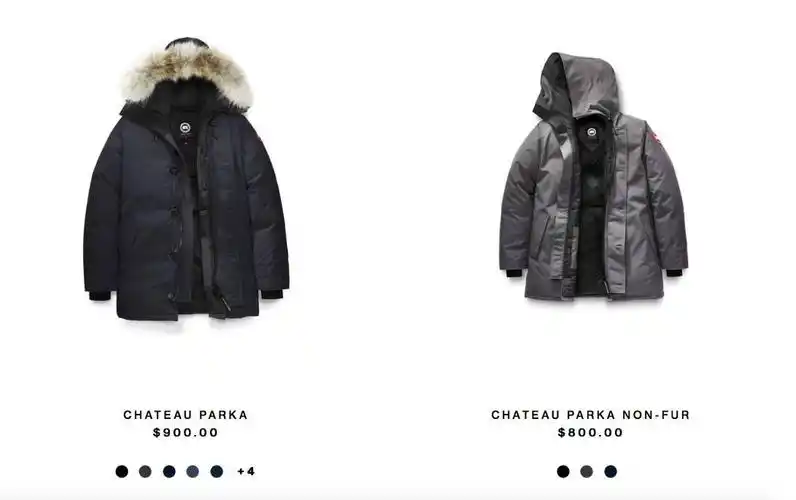 图片来源:加拿大鹅官网