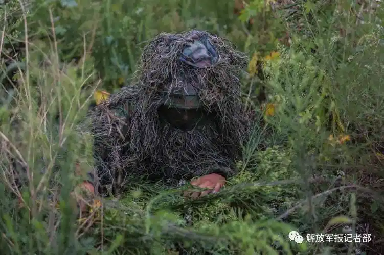 穿上伪装服的狙击手原来是这样!难得一见