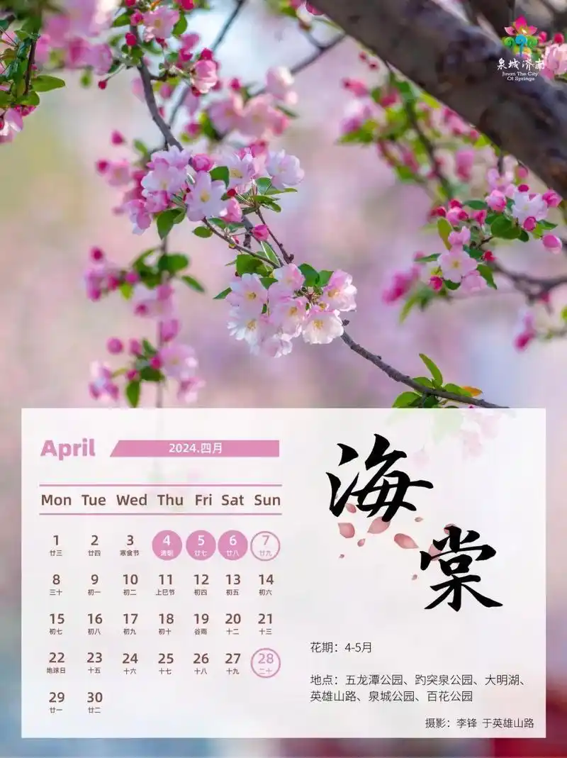 济南春季赏花日历请查收!快加进你的春游计划里吧